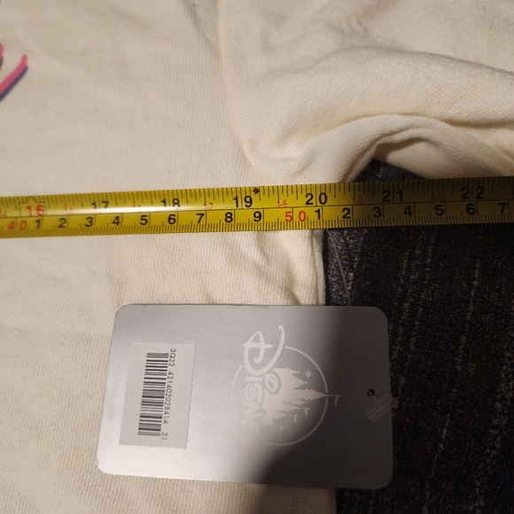 NWT Disney - Chip n' Dale Sweatshirt - Picture 10 of 10